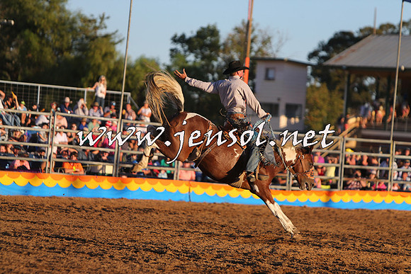 ForbesRodeo2015_1268
