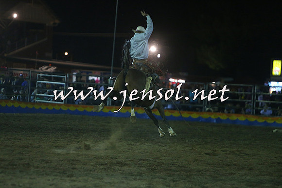 ForbesRodeo2015_2170