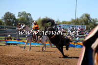 ForbesRodeo2015_0017