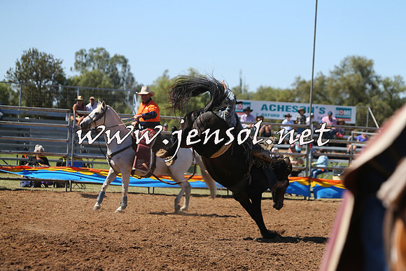 ForbesRodeo2015_0017
