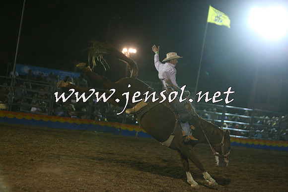 ForbesRodeo2015_2079