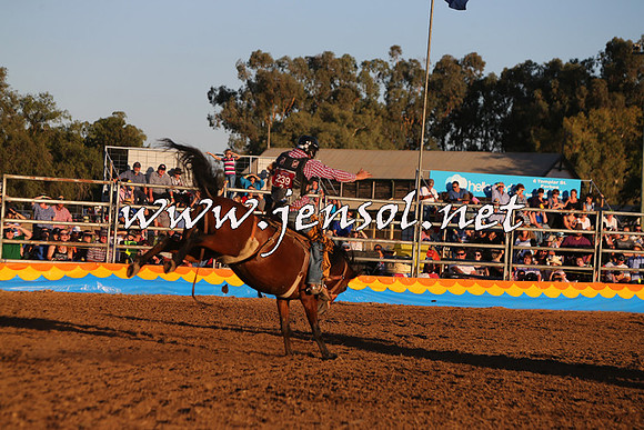 ForbesRodeo2015_1169