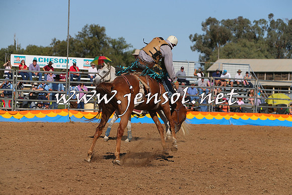 ForbesRodeo2015_1034