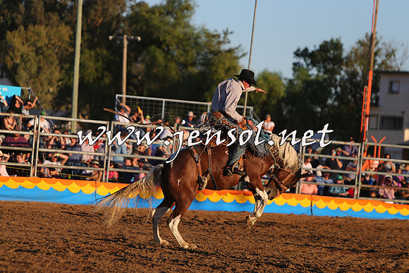 ForbesRodeo2015_1265