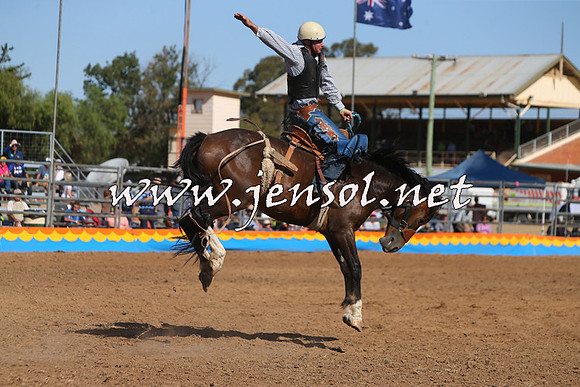 ForbesRodeo2015_1020