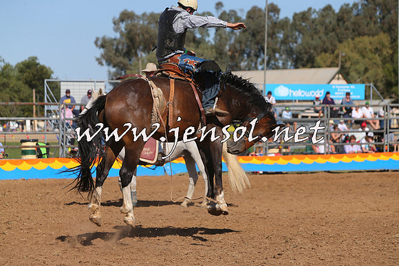 ForbesRodeo2015_1007