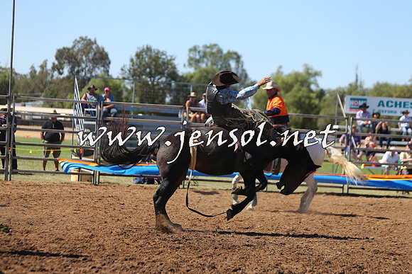 ForbesRodeo2015_0019