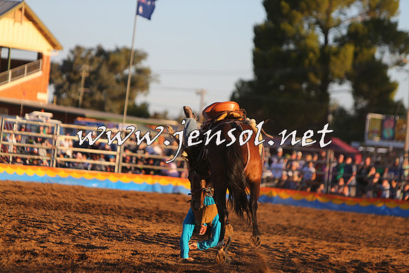ForbesRodeo2015_1327