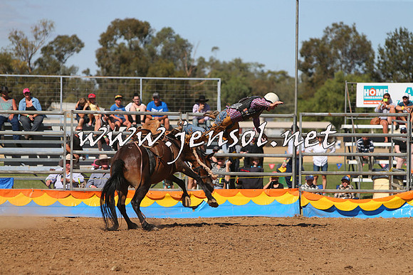 ForbesRodeo2015_0806