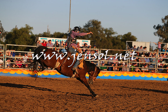 ForbesRodeo2015_1177