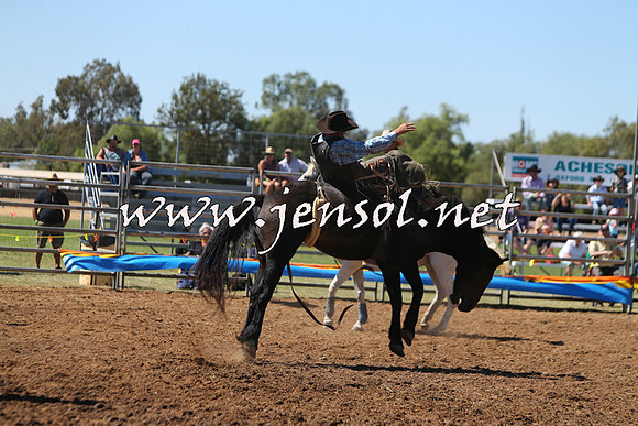 ForbesRodeo2015_0018