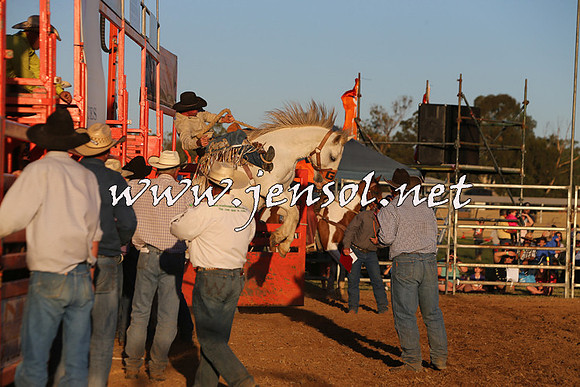 ForbesRodeo2015_1188