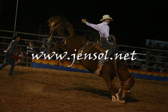 ForbesRodeo2015_2071