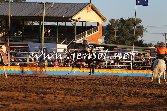 ForbesRodeo2015_1369