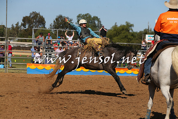 ForbesRodeo2015_0996