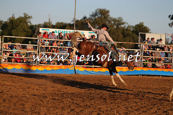 ForbesRodeo2015_1272