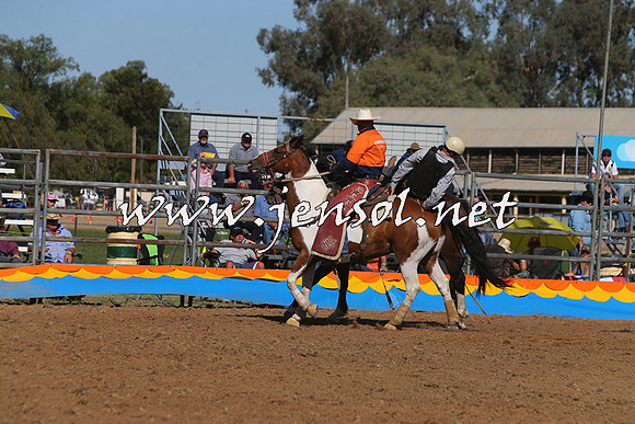 ForbesRodeo2015_1031