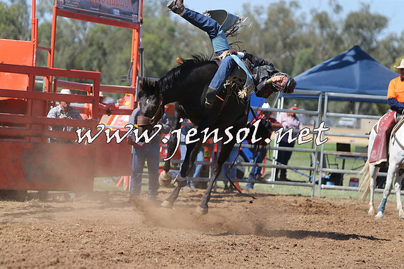 ForbesRodeo2015_0691
