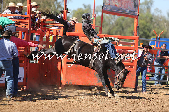 ForbesRodeo2015_0678