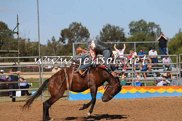 ForbesRodeo2015_0979