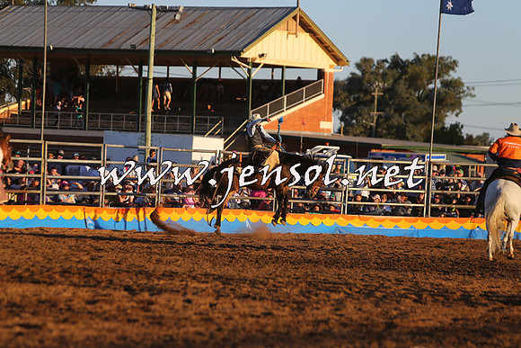 ForbesRodeo2015_1370