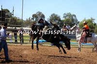 ForbesRodeo2015_0021