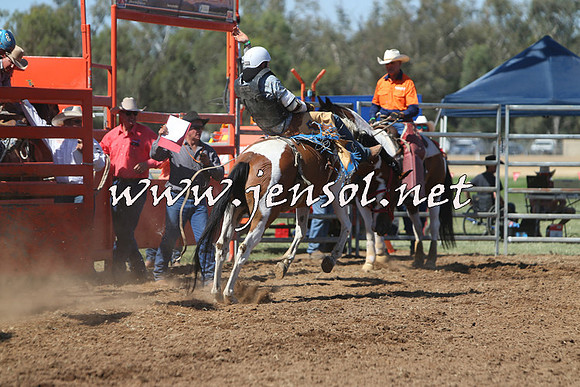 ForbesRodeo2015_0745