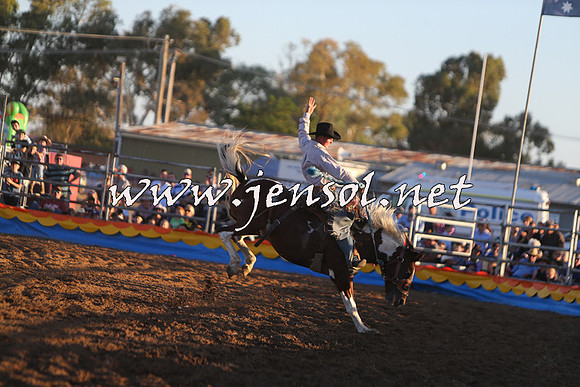 ForbesRodeo2015_1295