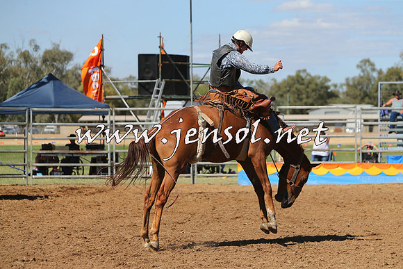ForbesRodeo2015_0830