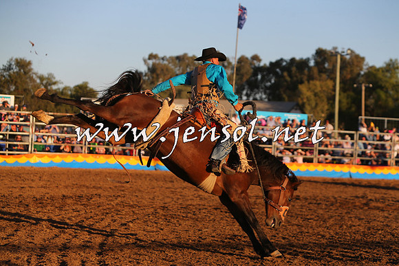 ForbesRodeo2015_1308