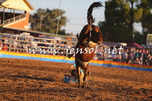 ForbesRodeo2015_1330