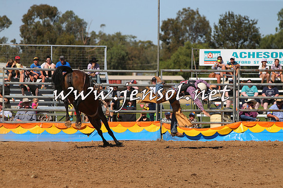 ForbesRodeo2015_0818