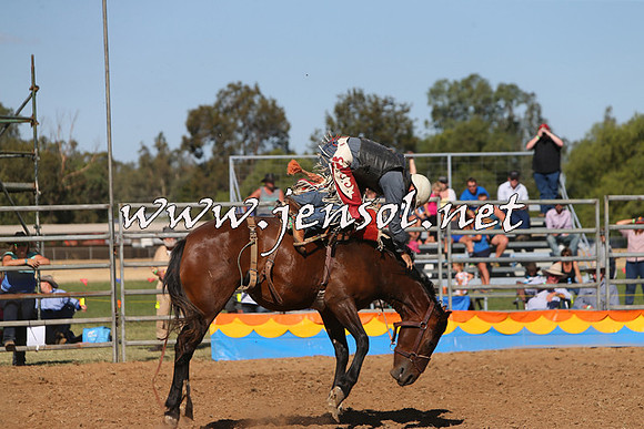 ForbesRodeo2015_0978