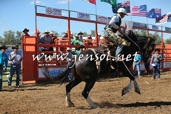 ForbesRodeo2015_0880