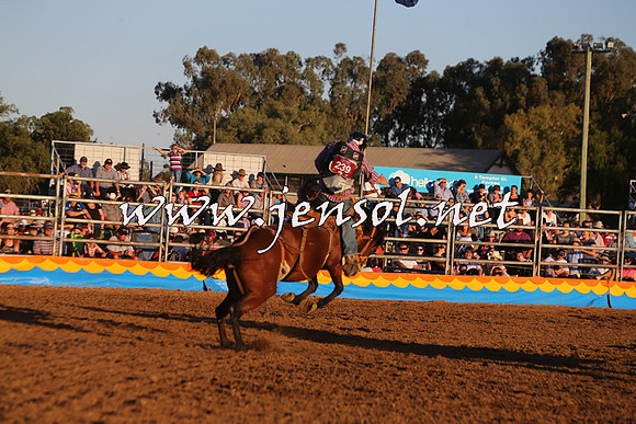 ForbesRodeo2015_1175