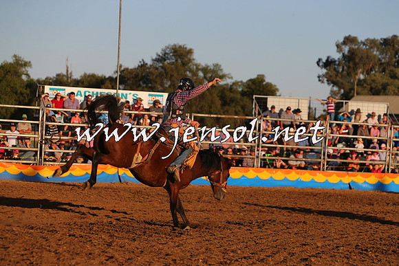 ForbesRodeo2015_1178