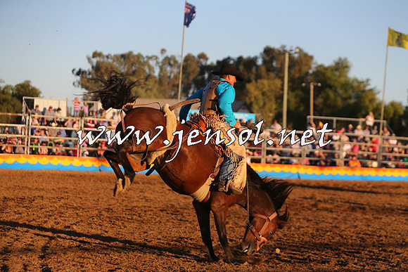 ForbesRodeo2015_1309