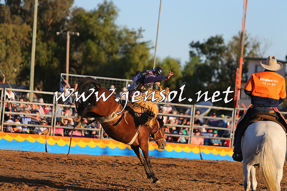 ForbesRodeo2015_1186