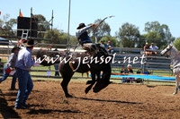 Broncs
