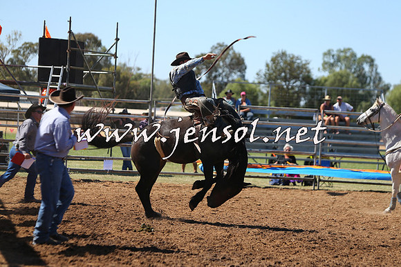 ForbesRodeo2015_0013