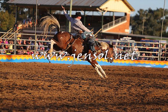 ForbesRodeo2015_1284