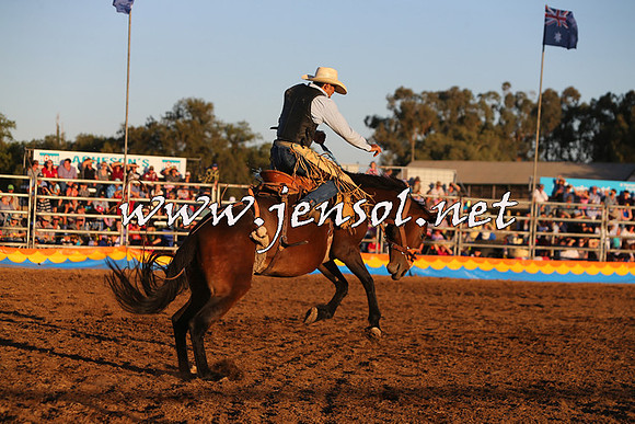 ForbesRodeo2015_1362