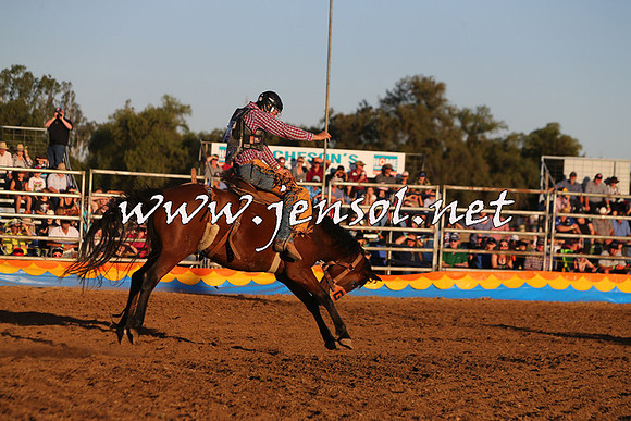 ForbesRodeo2015_1176