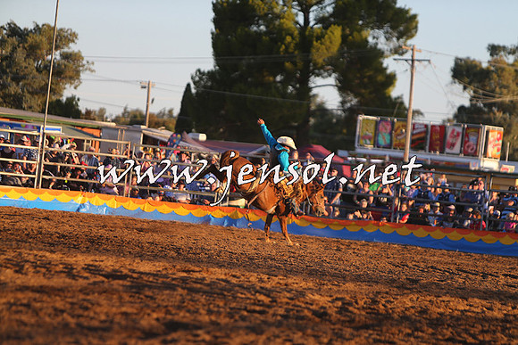 ForbesRodeo2015_1421