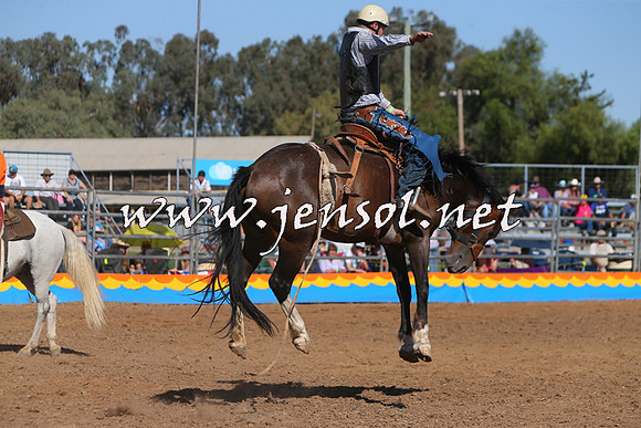 ForbesRodeo2015_1024