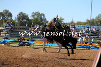 ForbesRodeo2015_0015