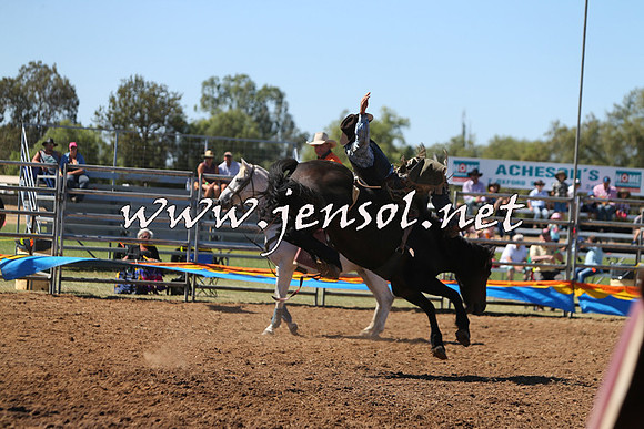 ForbesRodeo2015_0015