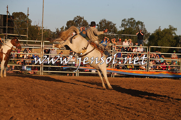 ForbesRodeo2015_1211