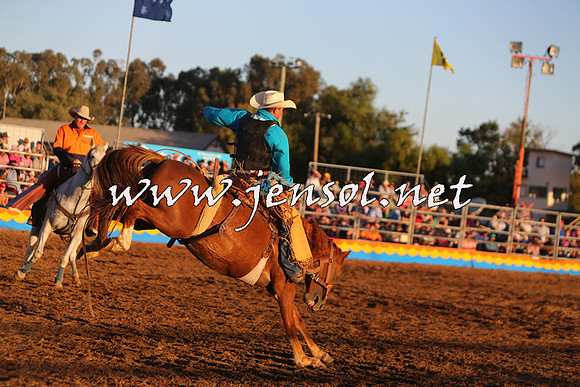 ForbesRodeo2015_1389