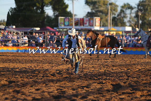 ForbesRodeo2015_1377